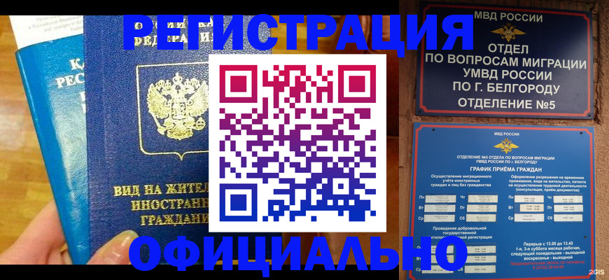 прописка 2025 в Архангельске
